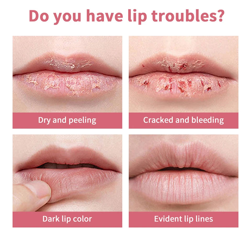 Black Honey Healthy Natural Colorless Lip Balm Lipstick Long Lasting Moisturizing Lips Plumper Nourish Makeup Lip Care Cosmetics